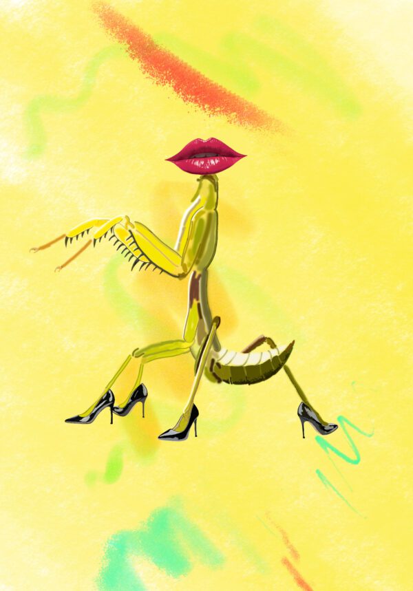 A drawing of a lizard with a red lip