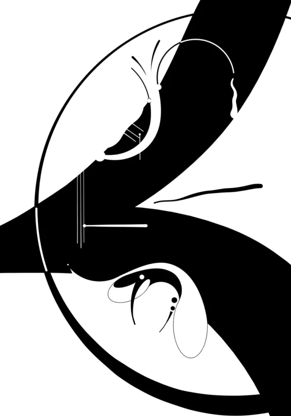 A black and white image of an abstract design.